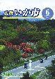 平成17年6月号