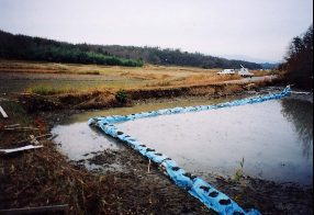 改修時の希少植物保全対策の状況の写真