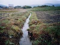 農業用用排水路の写真