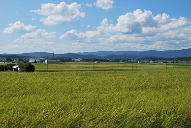 多面的機能を有する農地