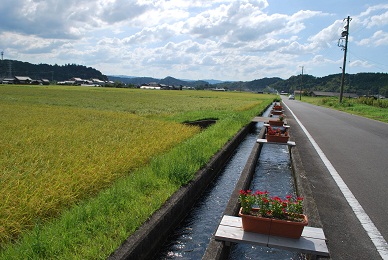 用水路と農地