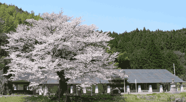 ライトピアおおやまだ全景写真