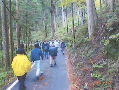 林道を歩く
