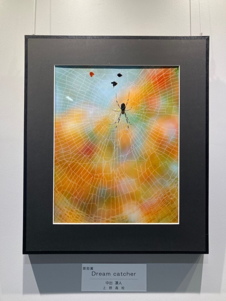1階展示
