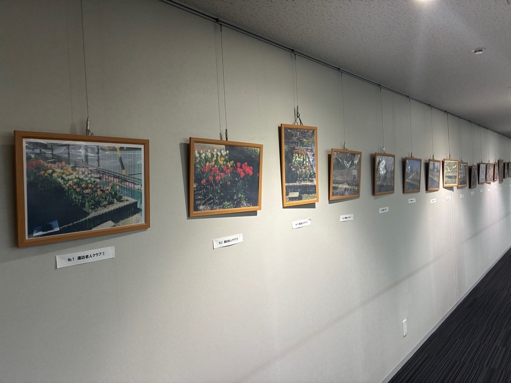 4階展示