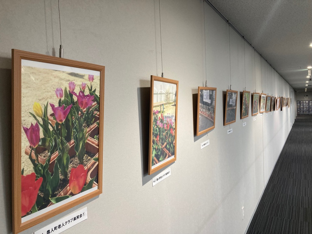 4階展示