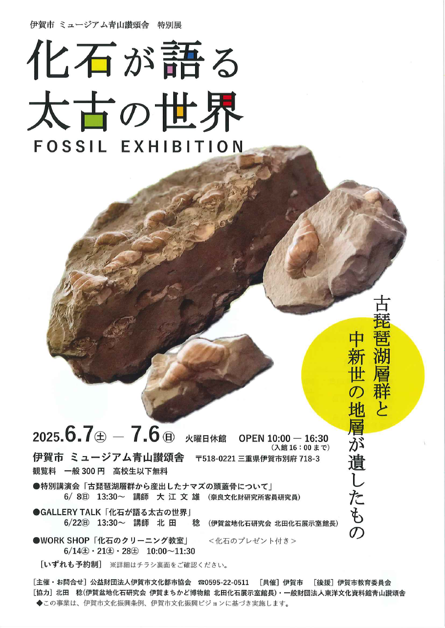 春の企画展チラシ
