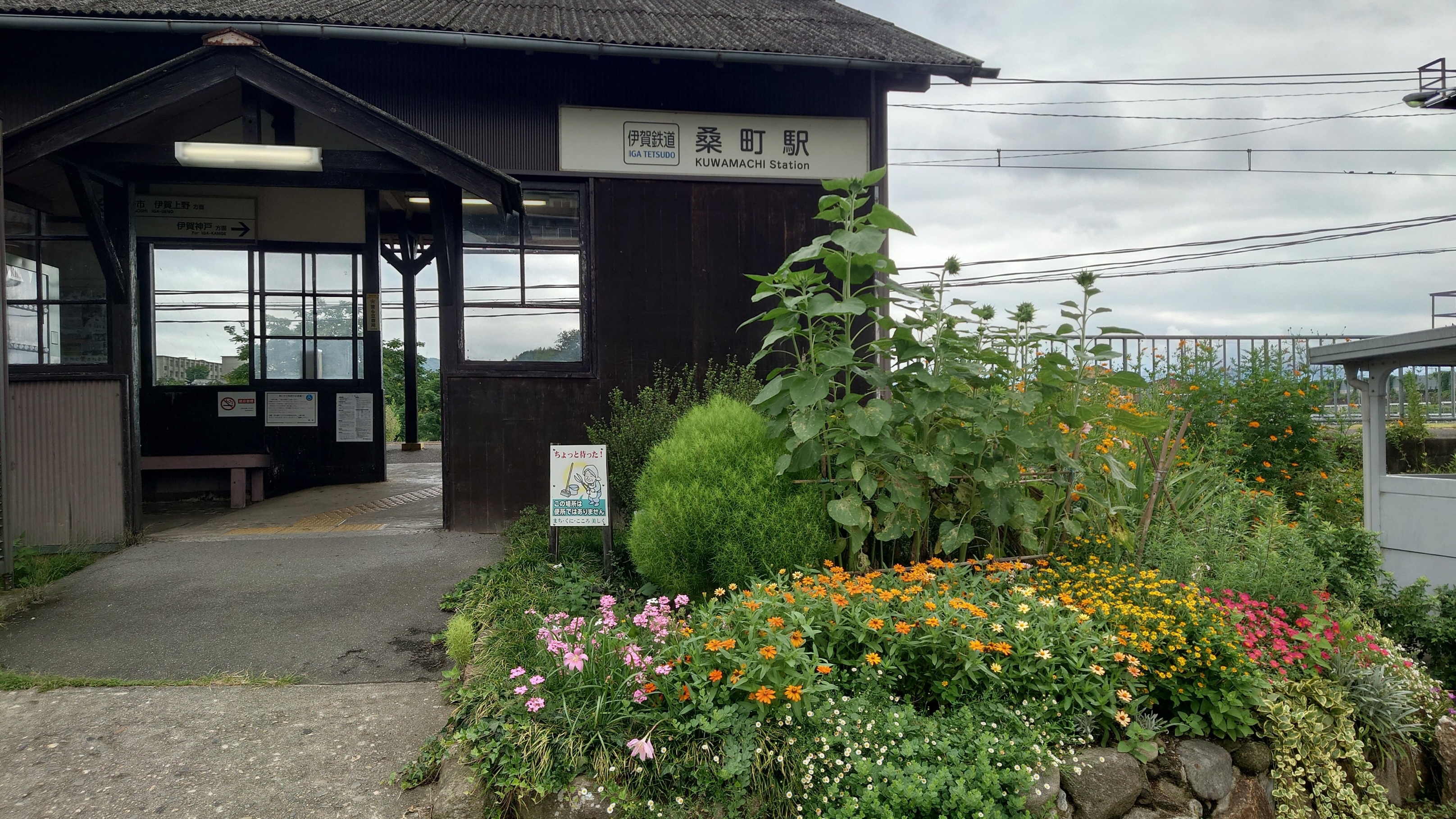 駅前の花壇（桑町駅）