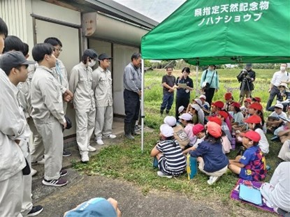 ノハナショウブの保全活動の様子