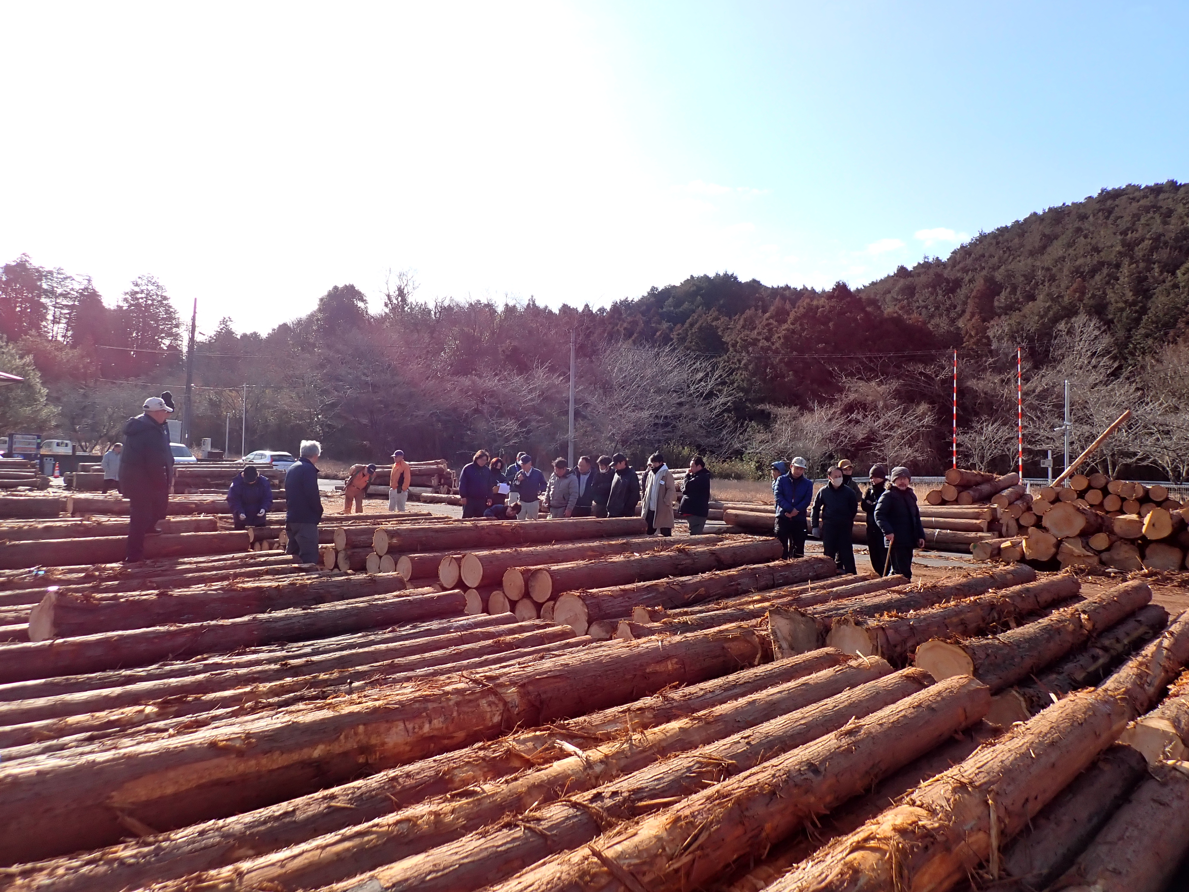 伊賀材まつり市の様子