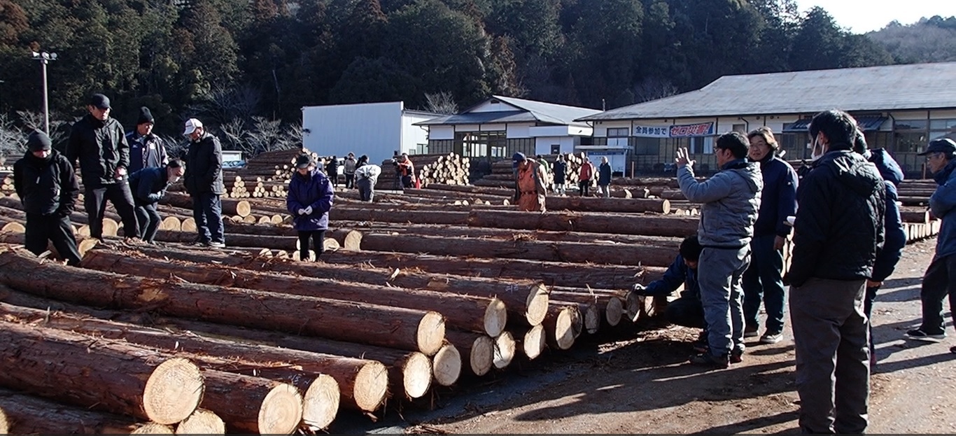 市場の競りの様子