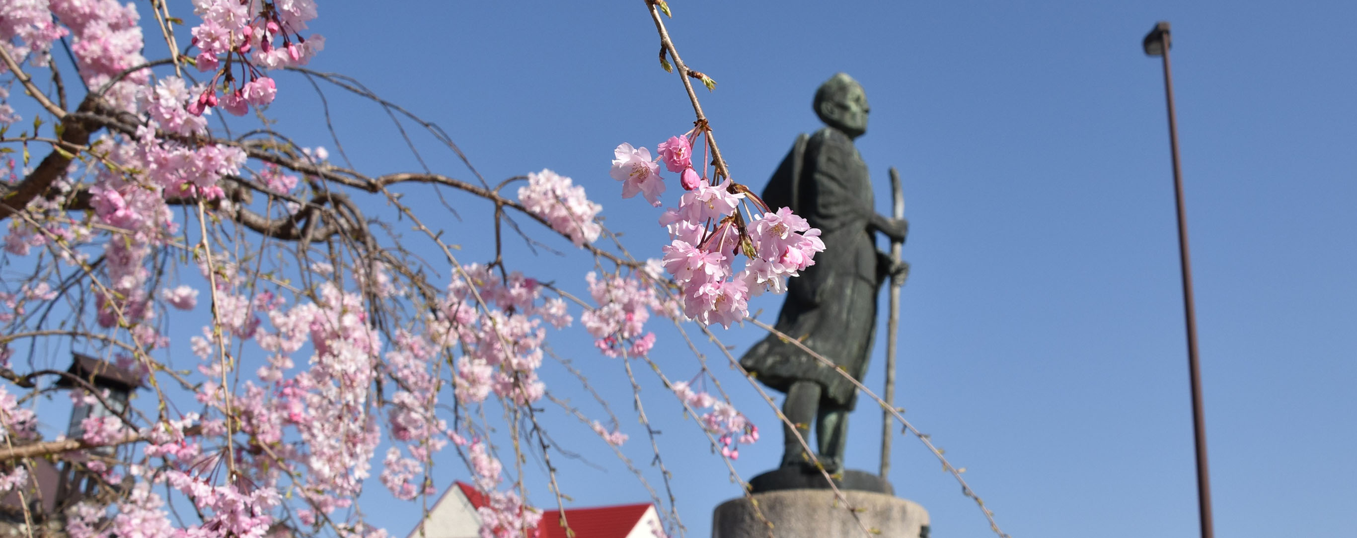 上野市駅前芭蕉翁像と桜