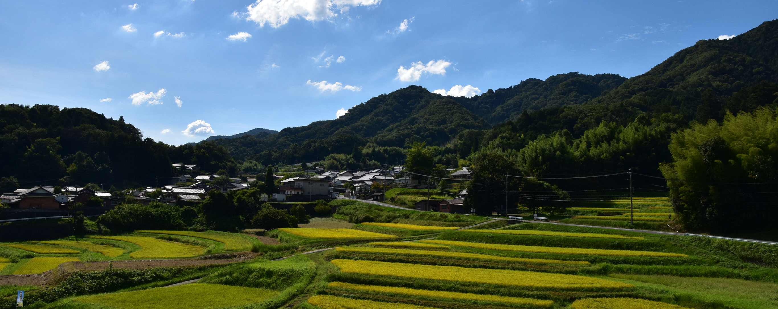 西山の棚田
