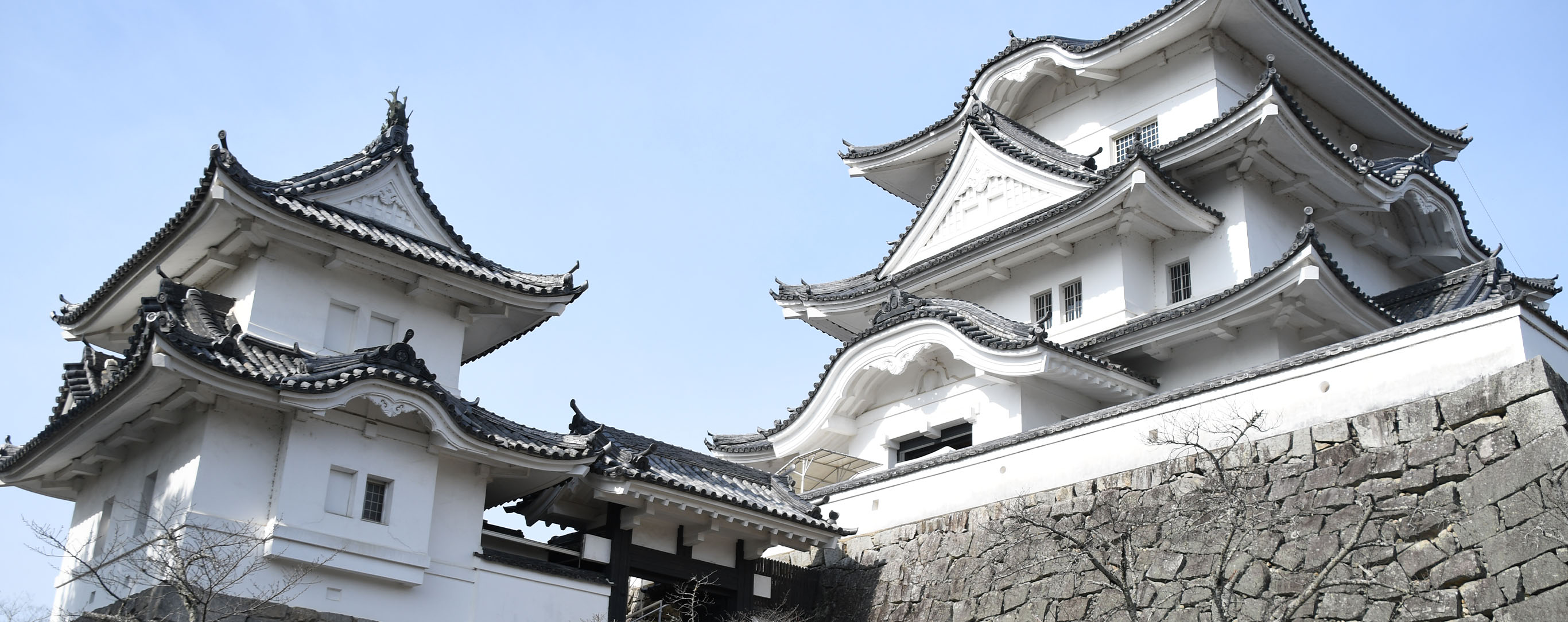 伊賀上野城
