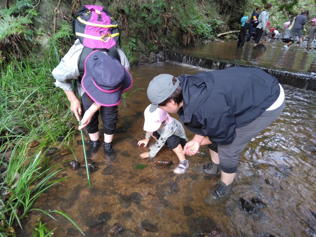 魚を見つけよう